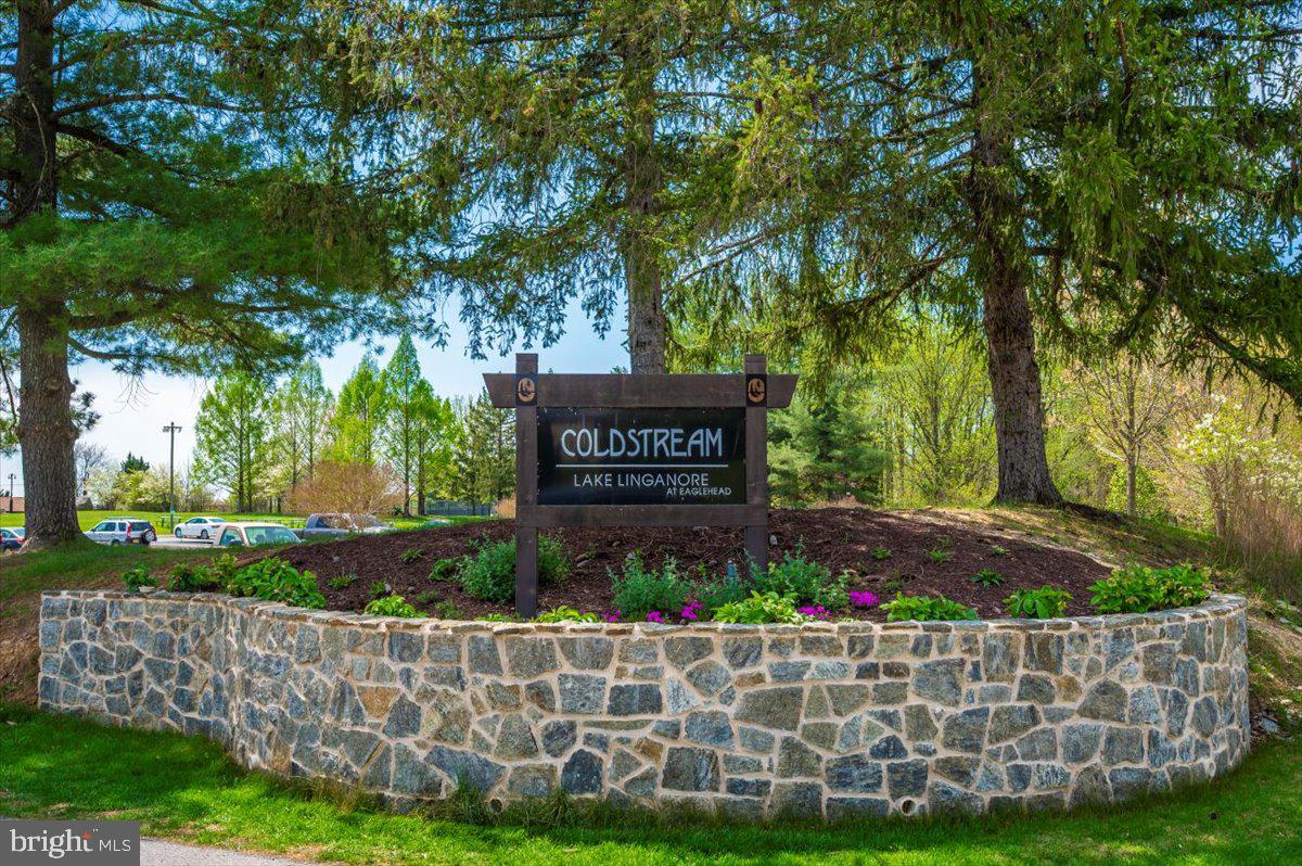 LAKE LINGANORE WOODRIDGE - Residential