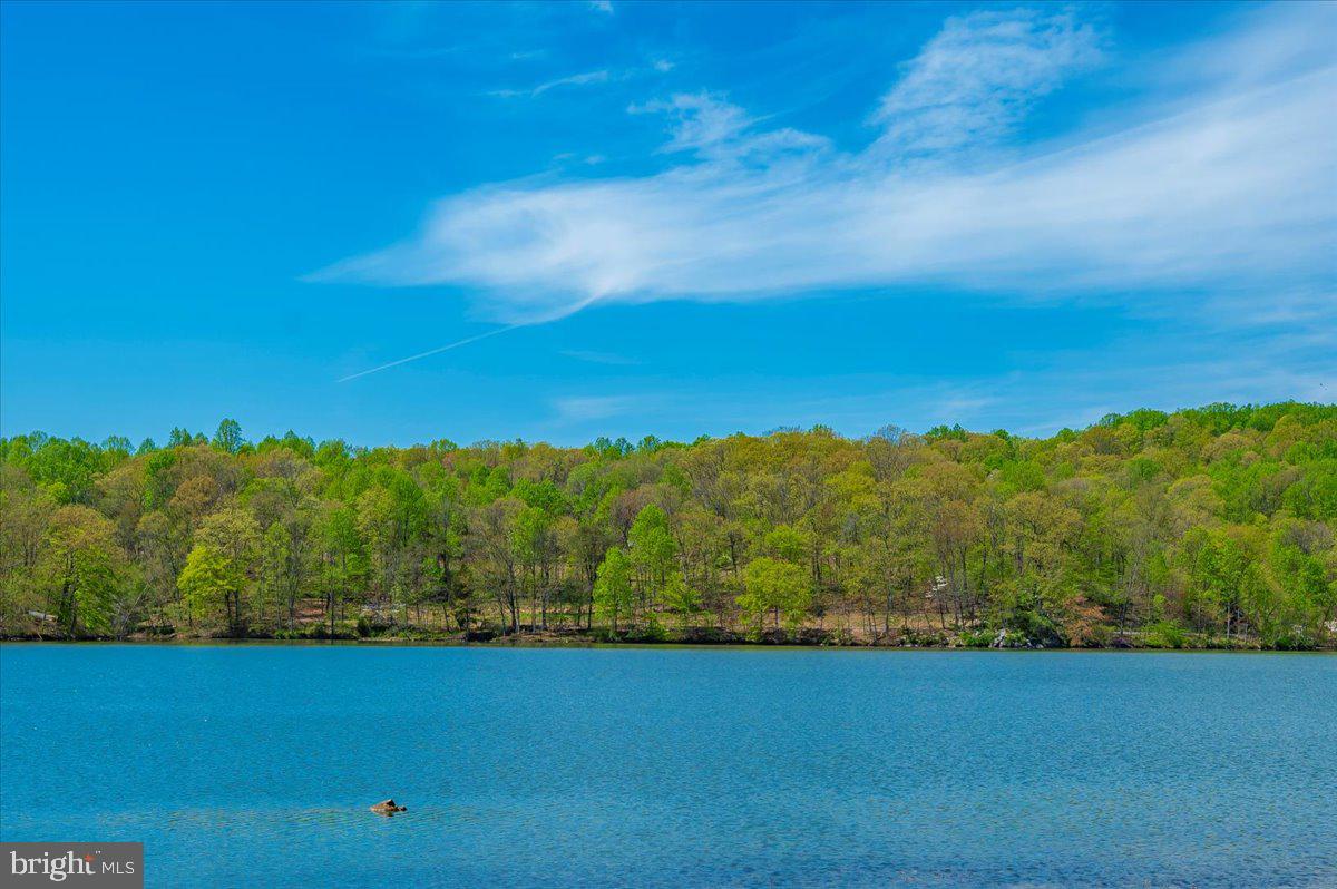 LAKE LINGANORE WOODRIDGE - Residential