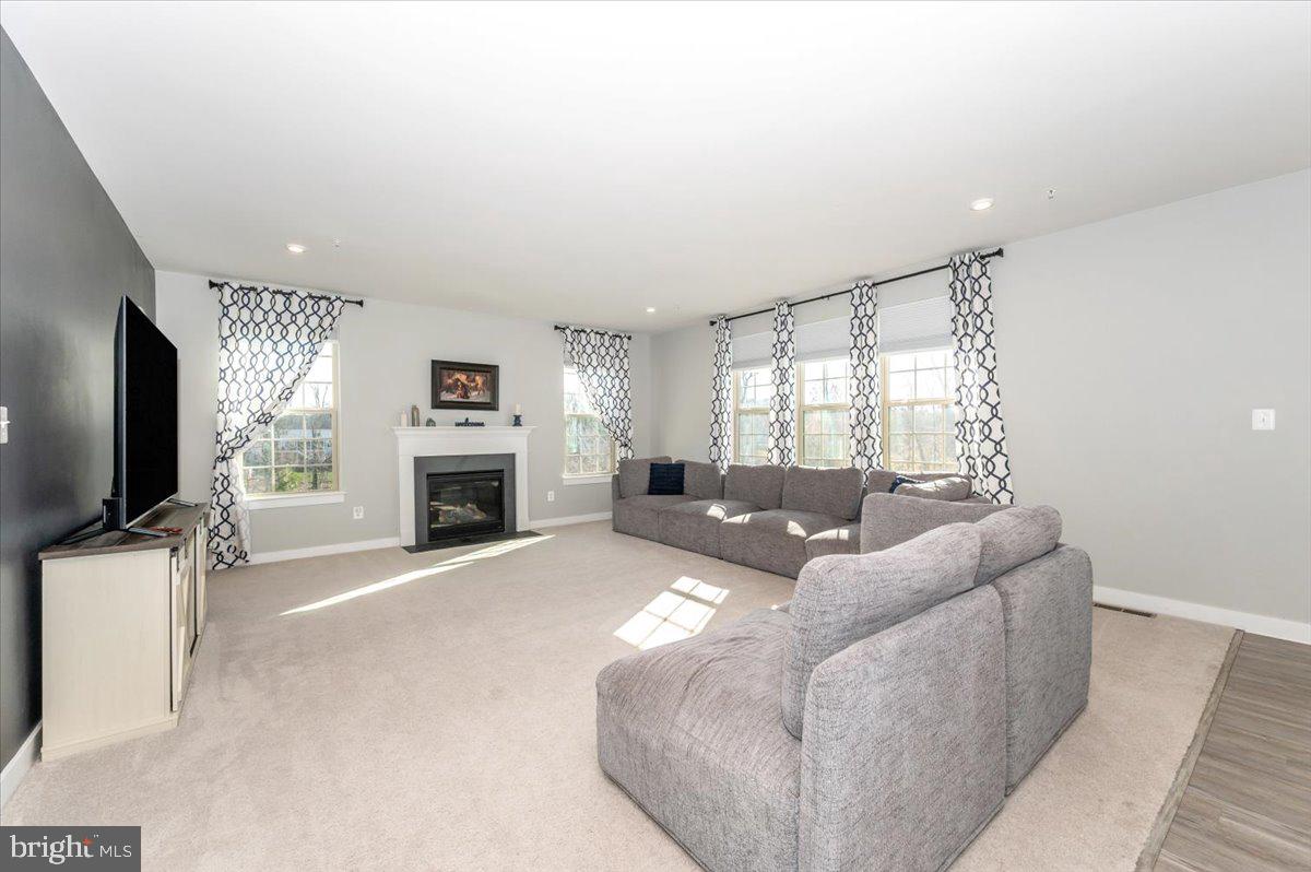 LAKE LINGANORE WOODRIDGE - Residential