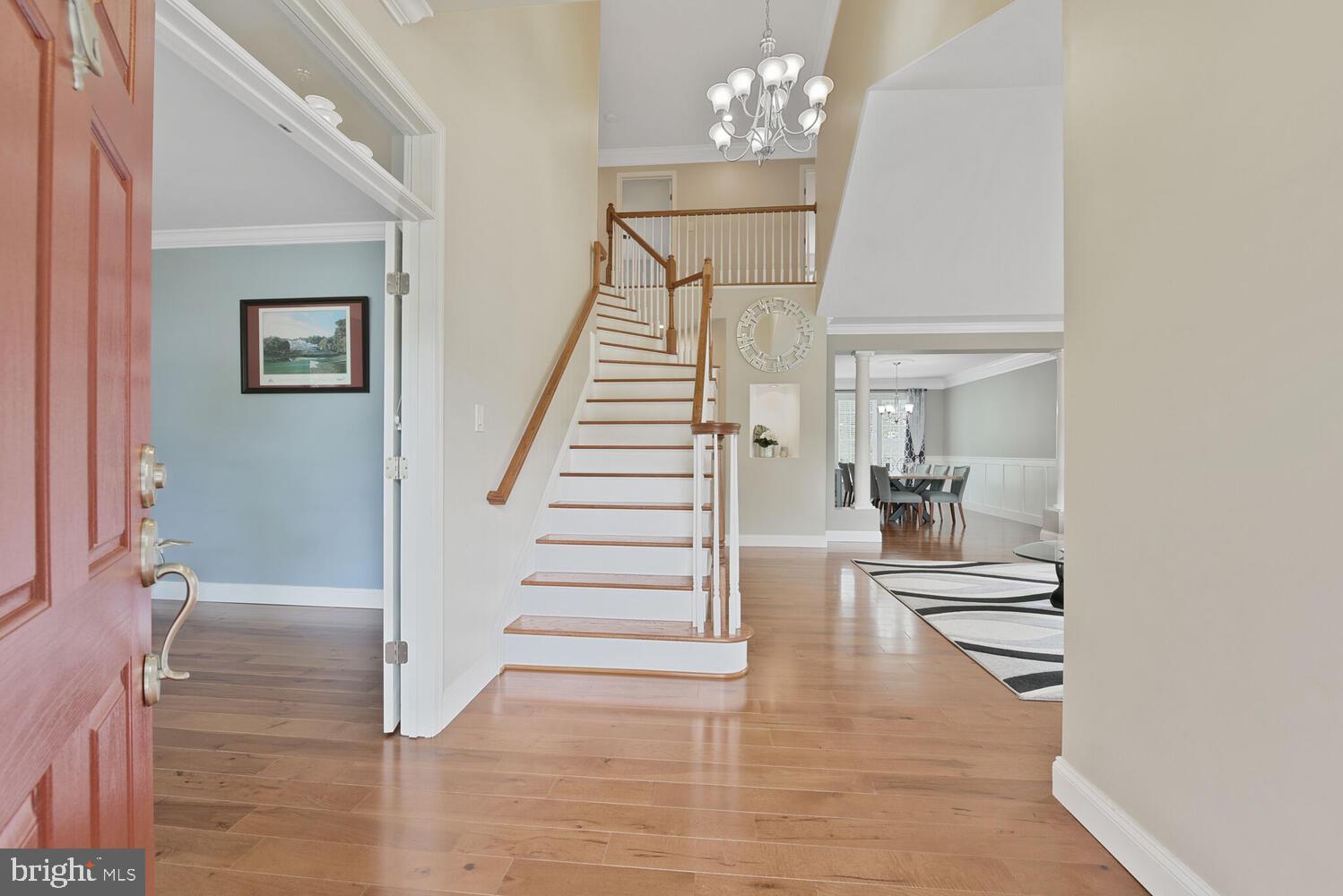 21339 MEADOW FIELD COURT