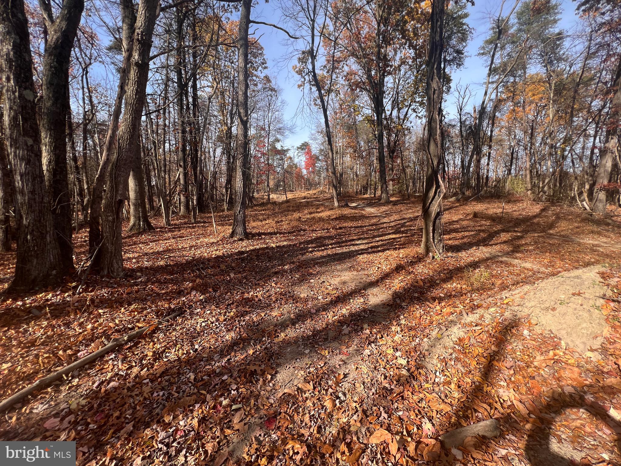 Back in the market., not fault if the seller.
This is a nice Buildable Lot that is located on top of the hill. It is private and easily accessible to I81, Schools, and Shopping. This is an ideal location for anyone that wants to be in the country, but stop convenient to town. Come check this out, it will not last long.