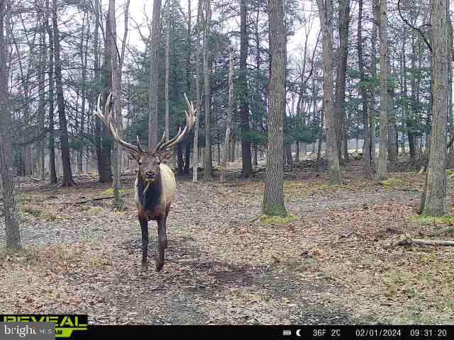 CLEARFIELD BOROUGH - Land