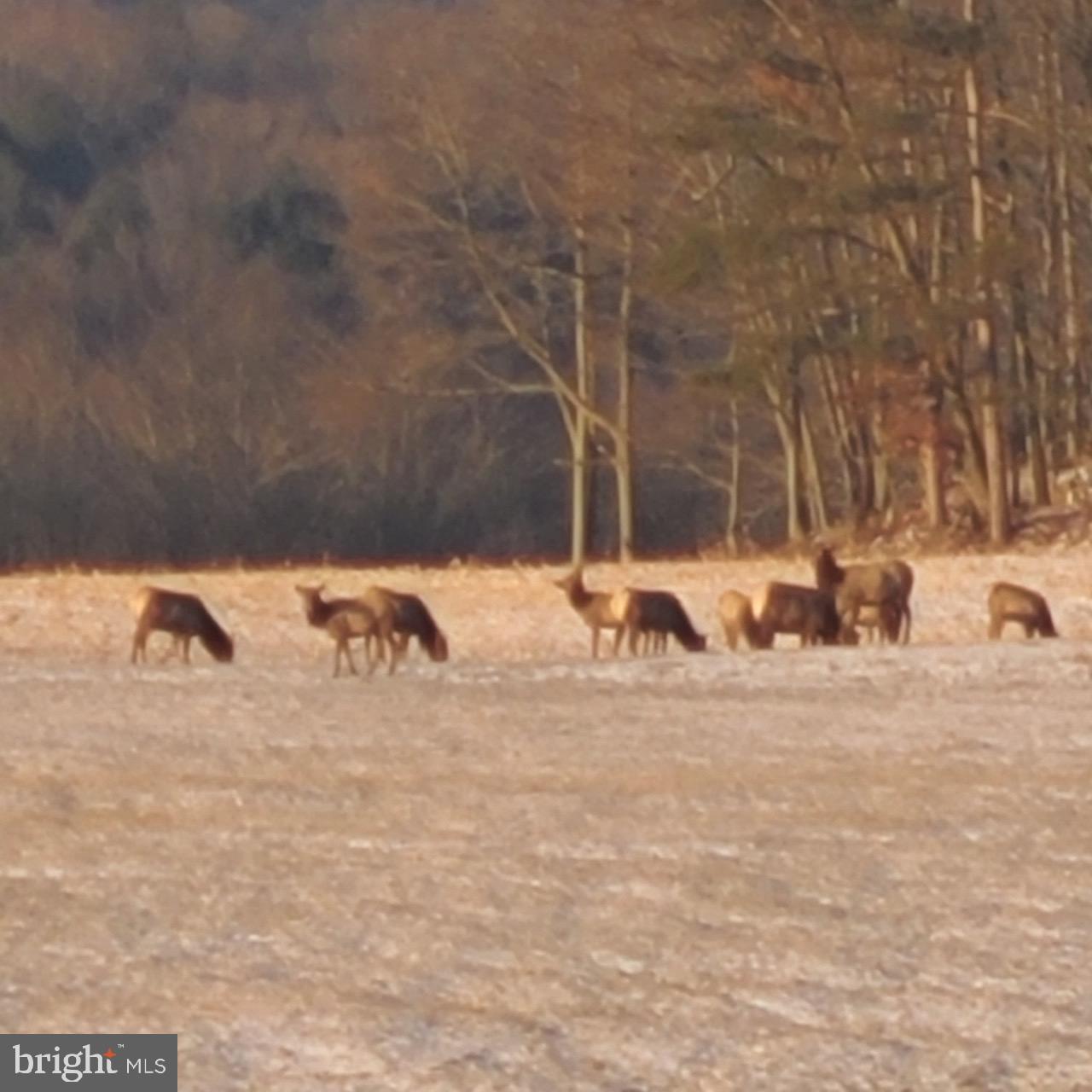 CLEARFIELD BOROUGH - Land