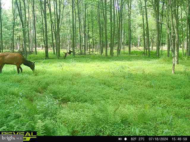 CLEARFIELD BOROUGH - Land