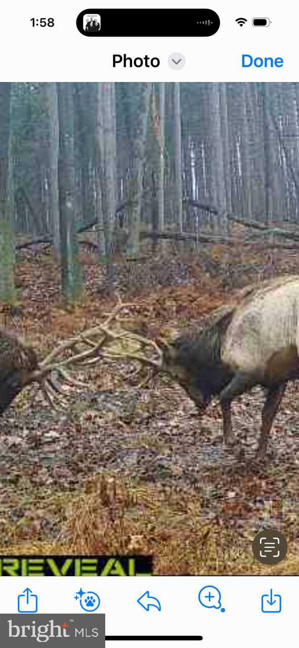 CLEARFIELD BOROUGH - Land