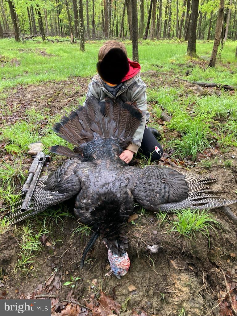 CLEARFIELD BOROUGH - Land