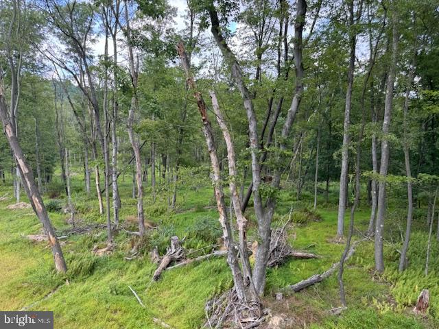 CLEARFIELD BOROUGH - Land