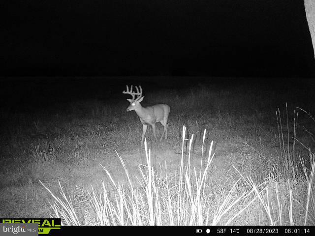 CLEARFIELD BOROUGH - Land