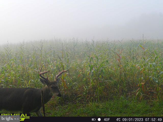 CLEARFIELD BOROUGH - Land