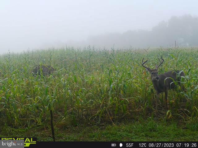 CLEARFIELD BOROUGH - Land