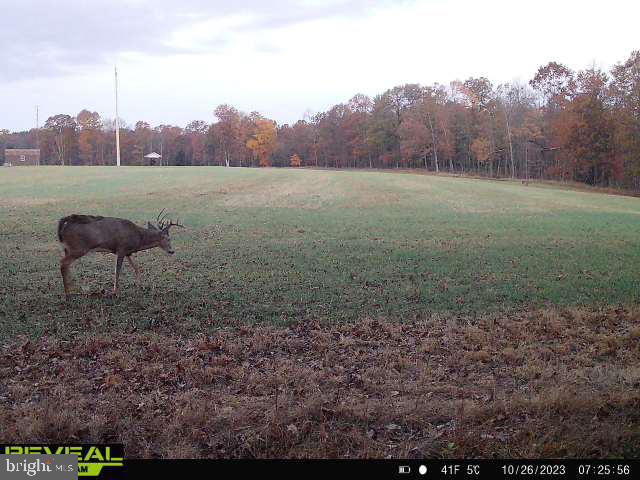 CLEARFIELD BOROUGH - Land