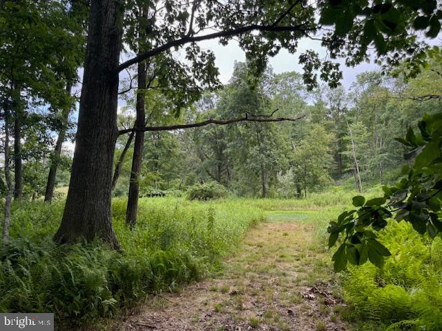 CLEARFIELD BOROUGH - Land