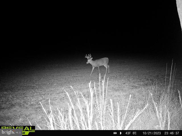 CLEARFIELD BOROUGH - Land