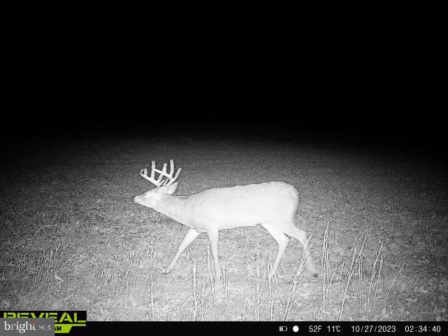 CLEARFIELD BOROUGH - Land