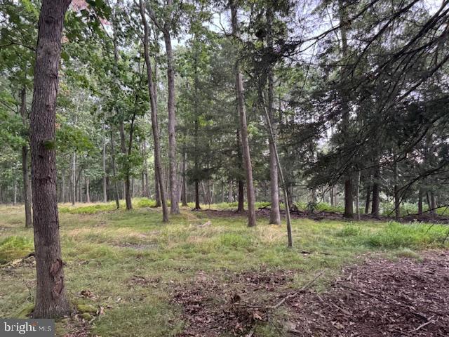 CLEARFIELD BOROUGH - Land