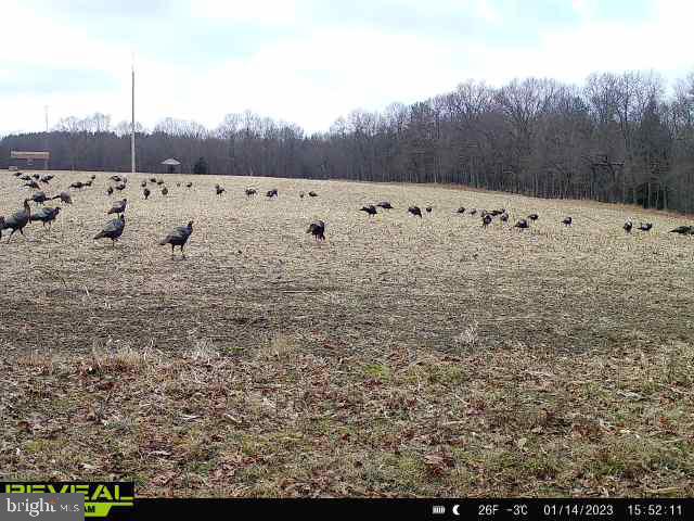 CLEARFIELD BOROUGH - Land