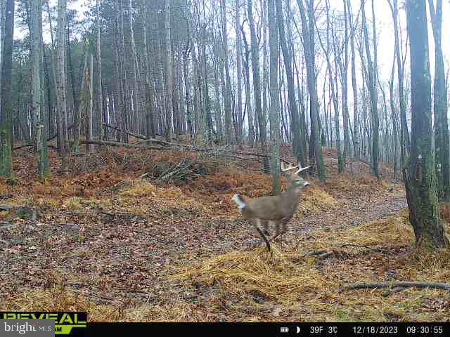CLEARFIELD BOROUGH - Land