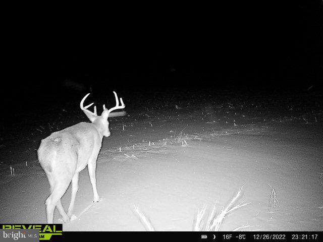 CLEARFIELD BOROUGH - Land