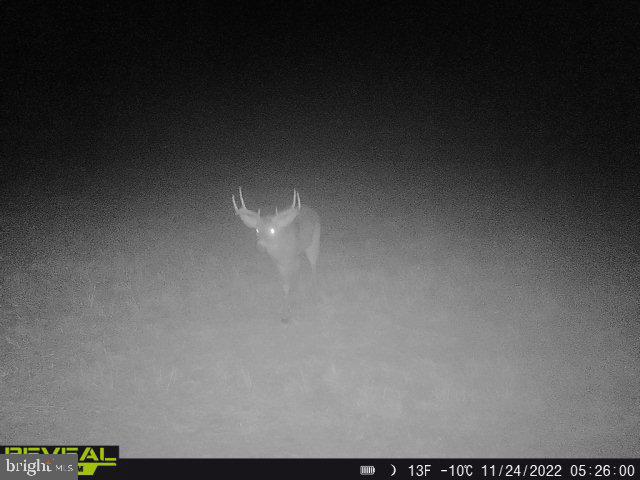 CLEARFIELD BOROUGH - Land