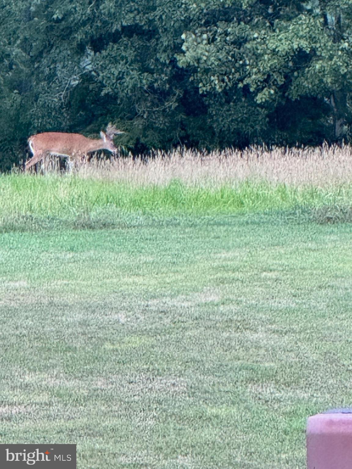 CLEARFIELD BOROUGH - Land