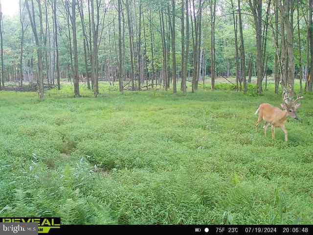 CLEARFIELD BOROUGH - Land
