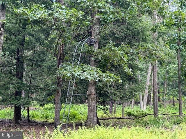 CLEARFIELD BOROUGH - Land