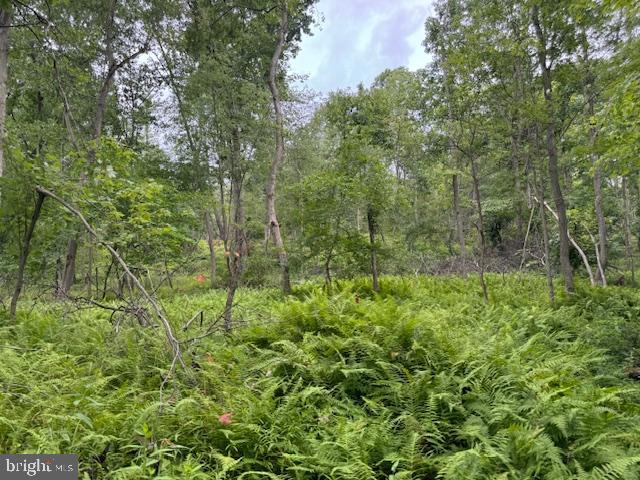 CLEARFIELD BOROUGH - Land