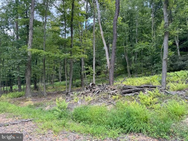 CLEARFIELD BOROUGH - Land