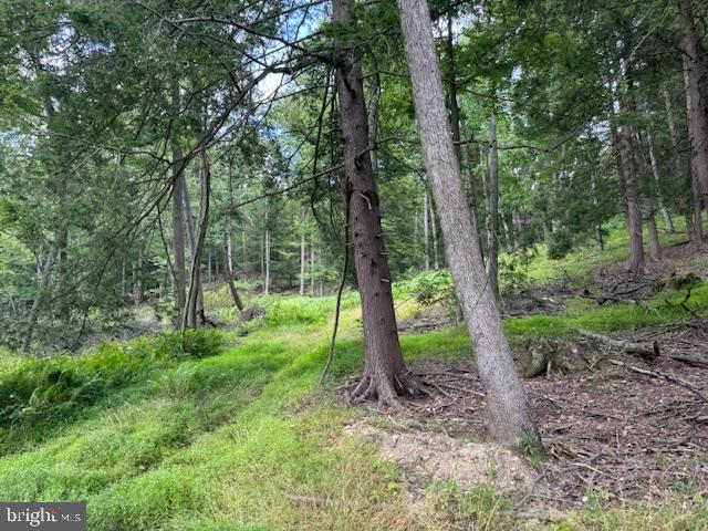 CLEARFIELD BOROUGH - Land