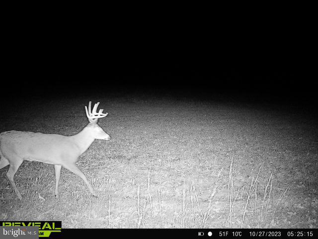 CLEARFIELD BOROUGH - Land