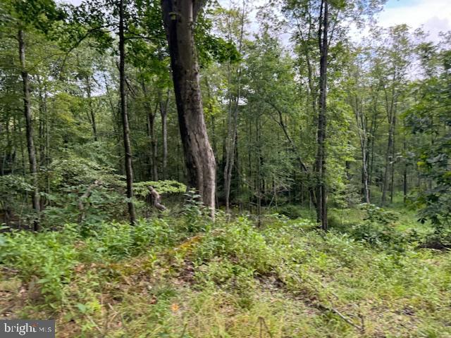 CLEARFIELD BOROUGH - Land