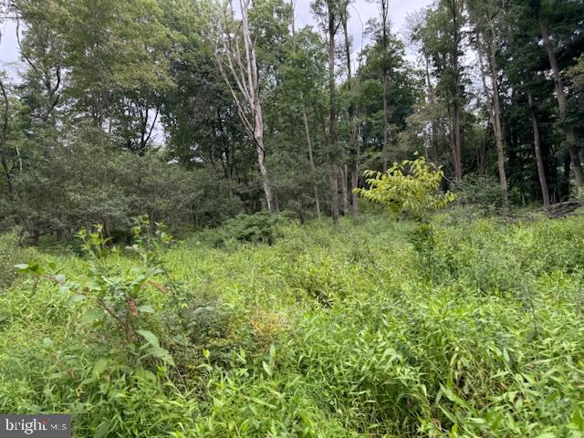 CLEARFIELD BOROUGH - Land