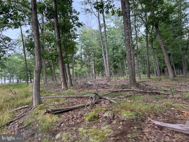 CLEARFIELD BOROUGH - Land