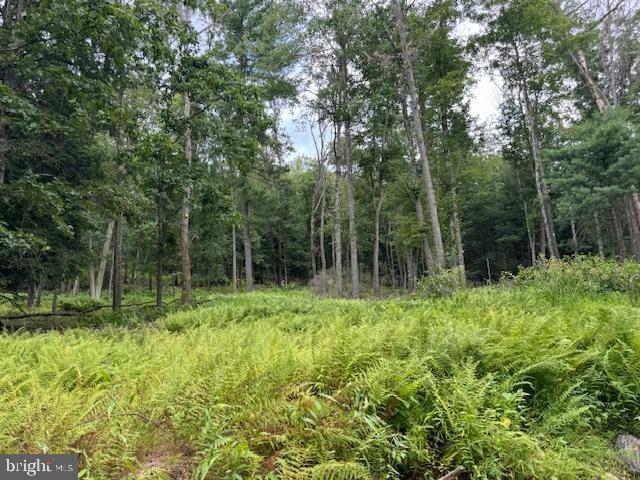 CLEARFIELD BOROUGH - Land