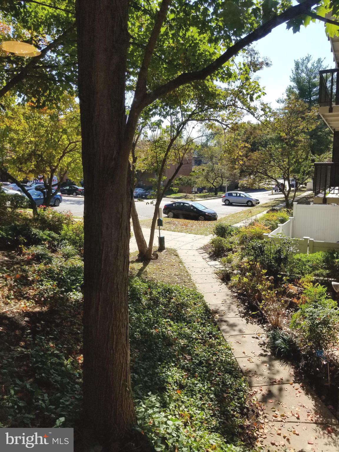 BOLLING BROOK - Residential Lease