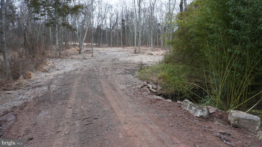 Are you looking for that resort like location to build the home of your dreams? Then you're going to love this 3 1/4 acre wooded homesite with a small stream and lots of wildlife. An adventurous but tranquil setting nestled between Green Lane Park and Spring Mountain! Montgomery County's only operating Ski Slope. With Skiing, Skating, Festivals, Mountain Biking and Zip Lining theres always something going on.  The Philadephia Folk fest and Perkiomen Trail is just minutes away.  Located in the popular Perkiomen Valley School District. The amazing piece of land is READY TO BUILD! with a 14 foot wide driveway and brand new, low profile septic system already installed.  There's even enough room for a detached garage/shop/ barn.  This lot has been tastefully cleared and improved leaving a few larger trees near the homesite for that well established feel when completed.  Call today for your own personal, one on one site tour and build consult.