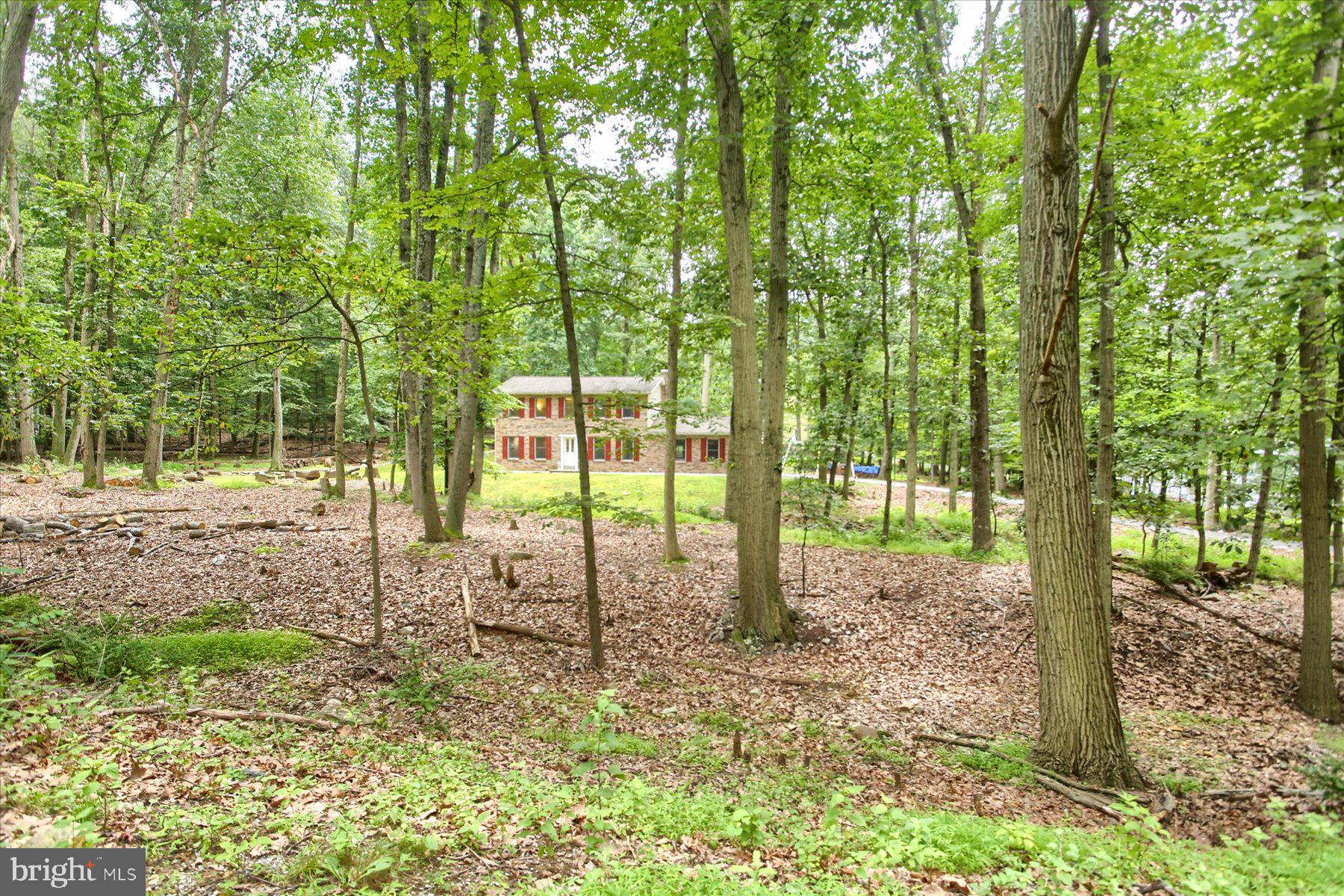 601 SPRING LANE