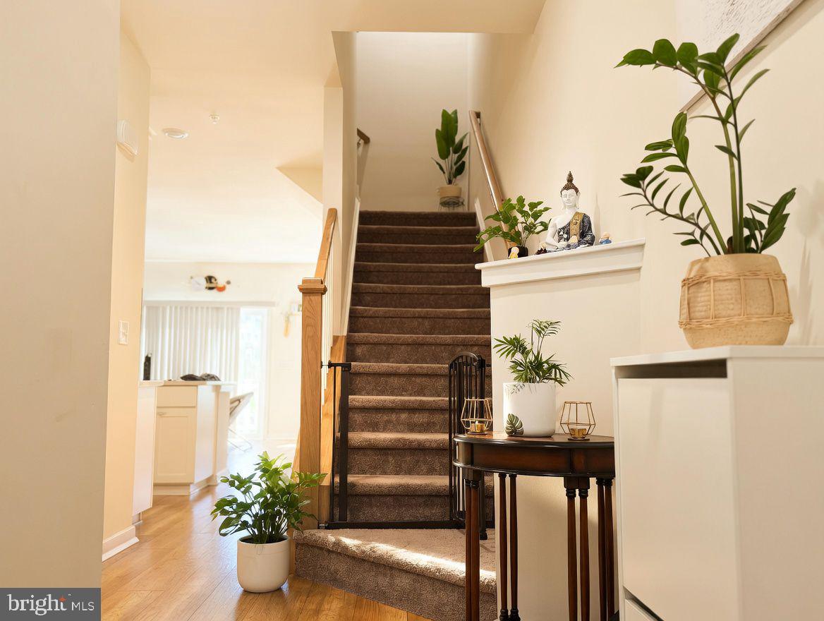 BRINLEY COURT - Residential