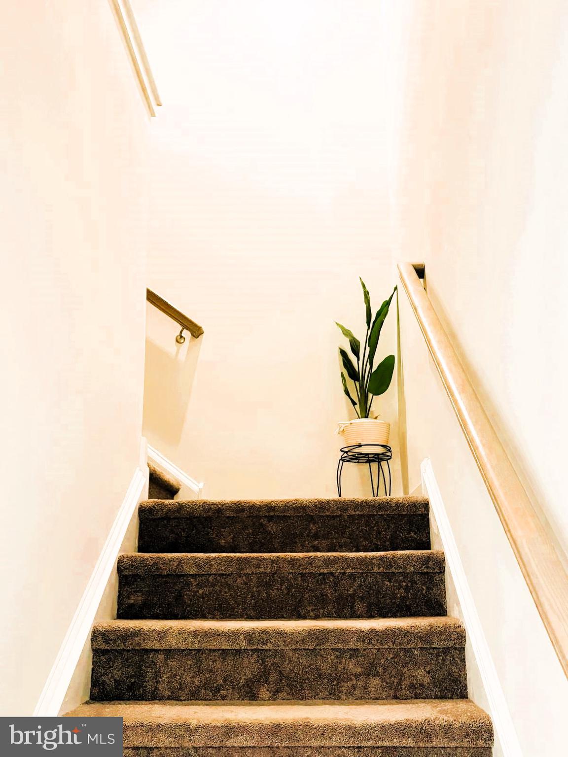 BRINLEY COURT - Residential