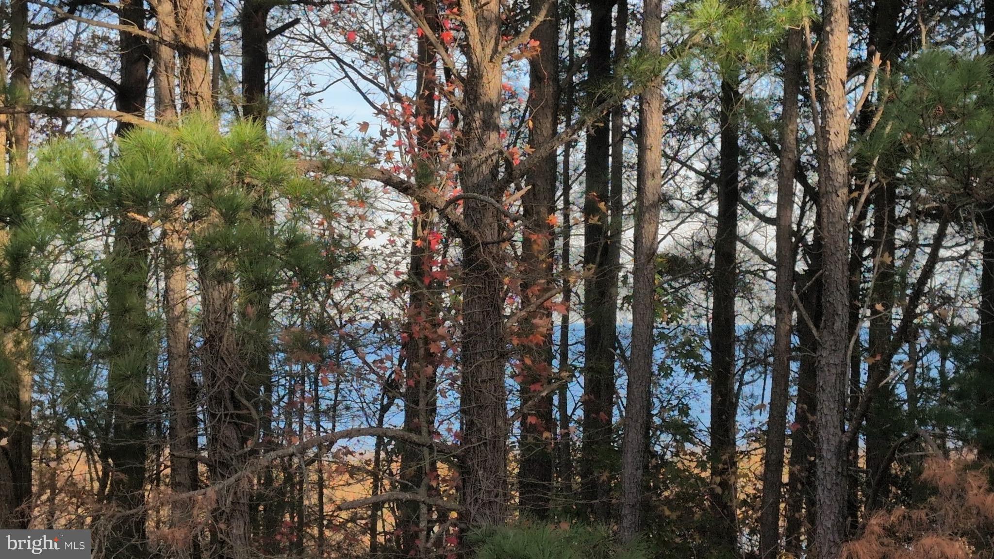 VILLAS ON WATERS EDGE - Residential