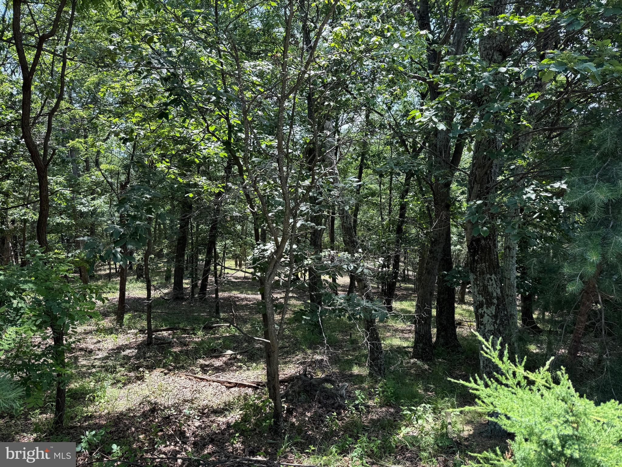 BLUFFS ON THE POTOMAC - Land