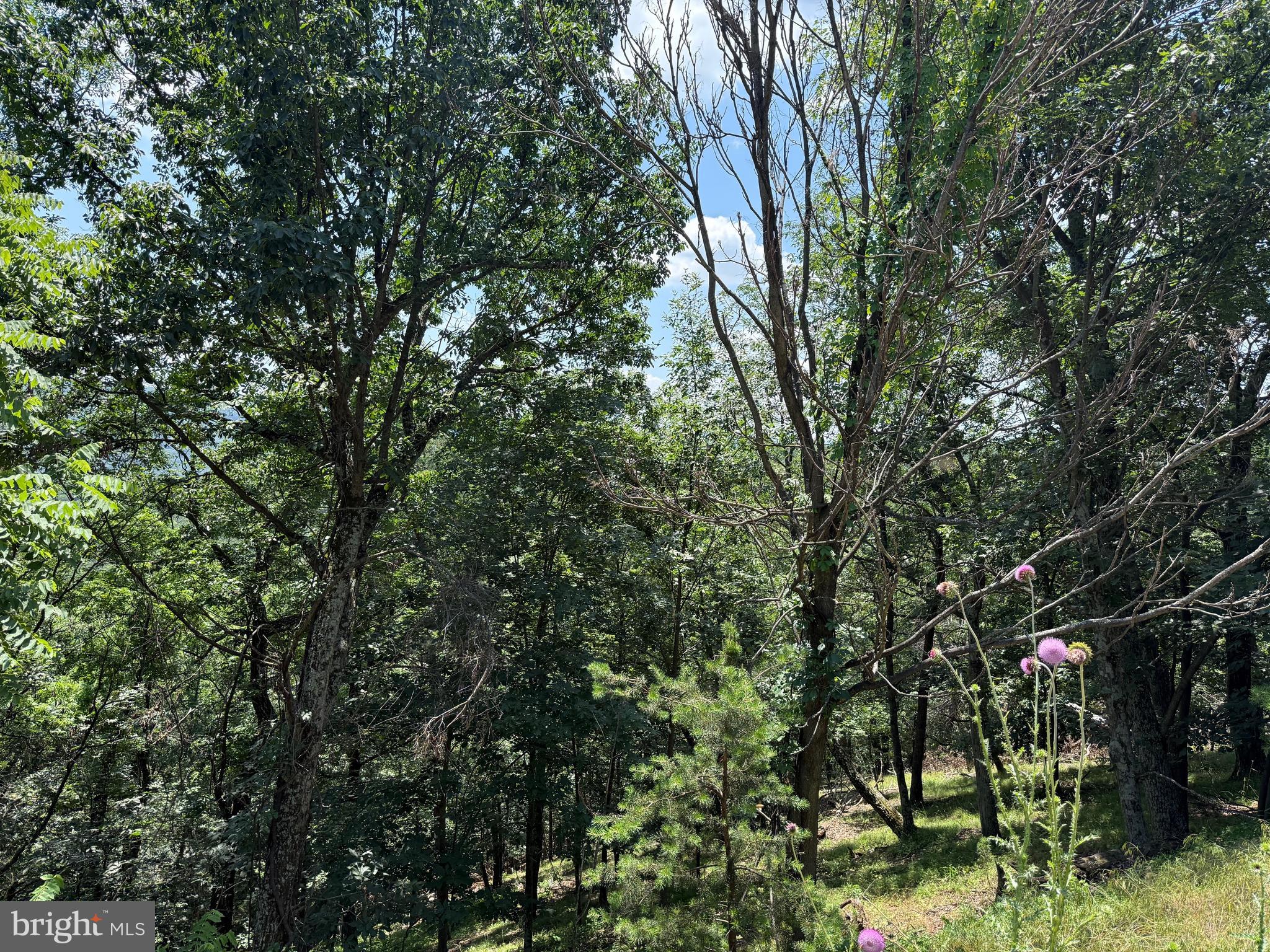 BLUFFS ON THE POTOMAC - Land