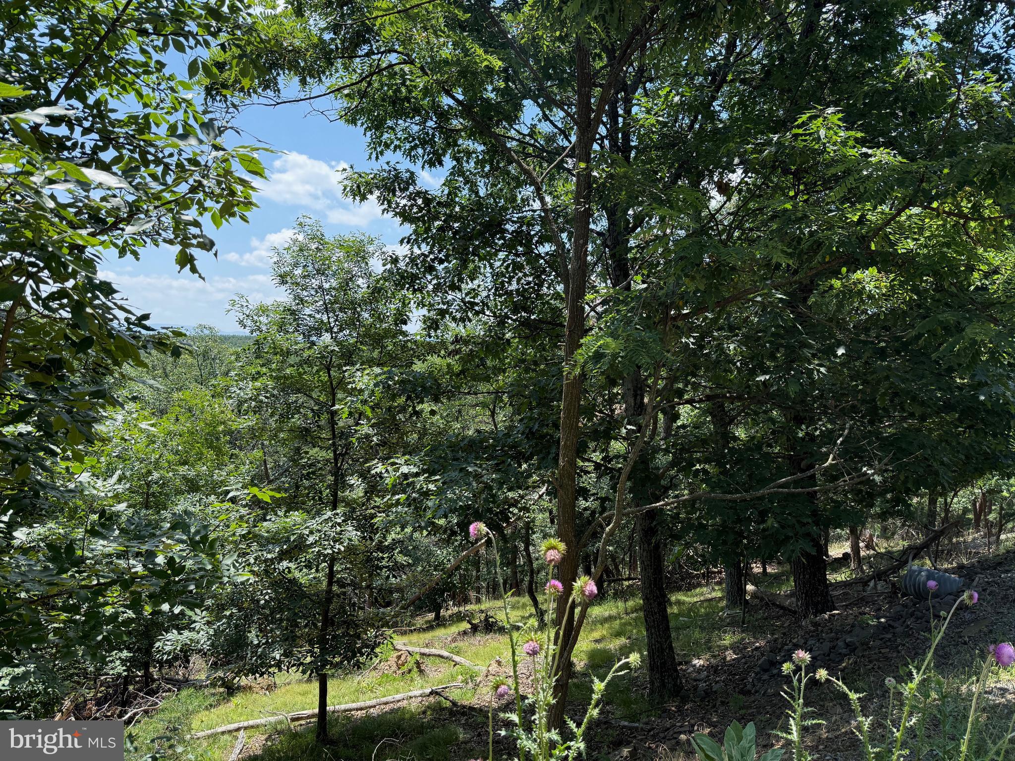 BLUFFS ON THE POTOMAC - Land