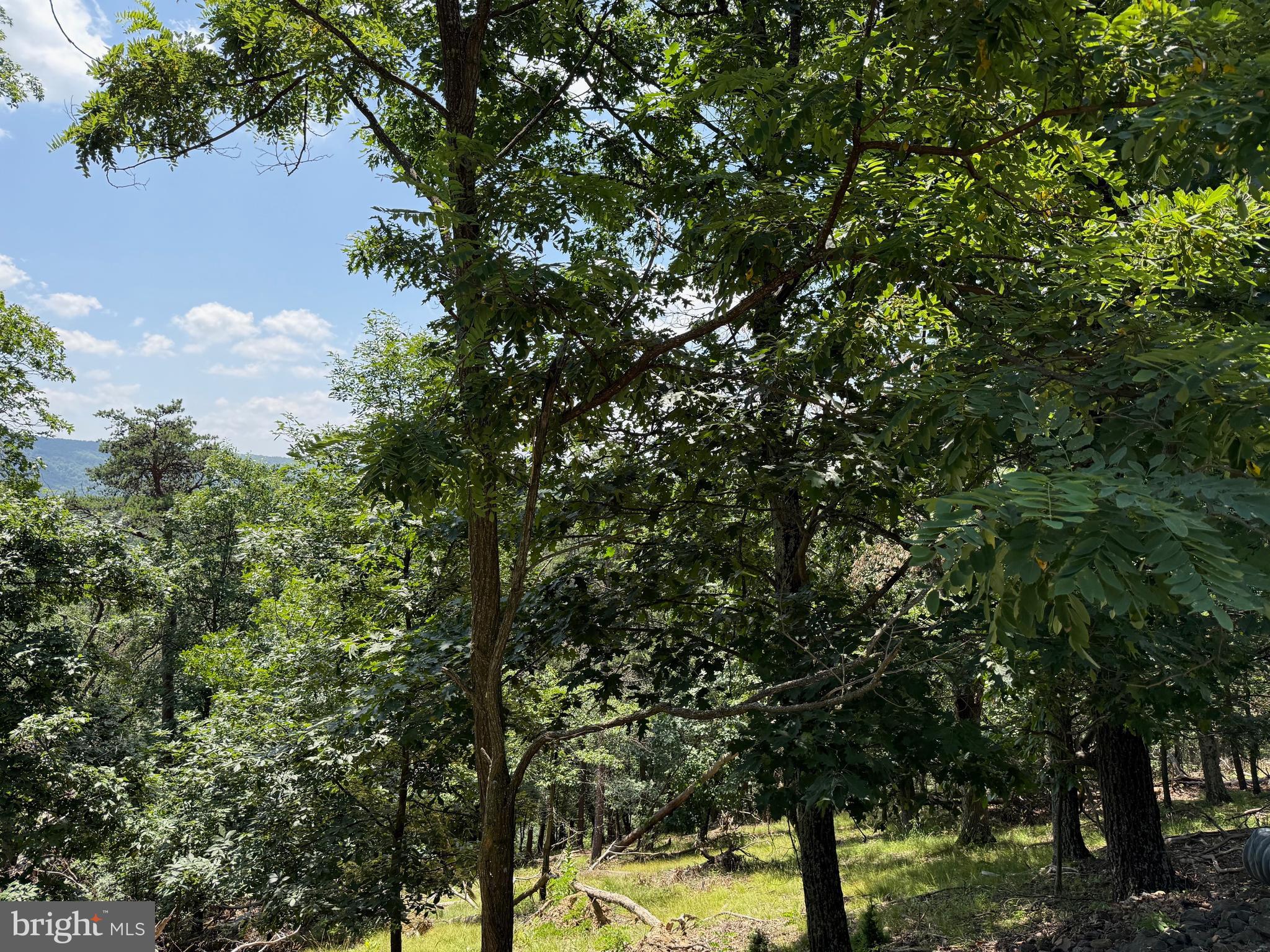 BLUFFS ON THE POTOMAC - Land