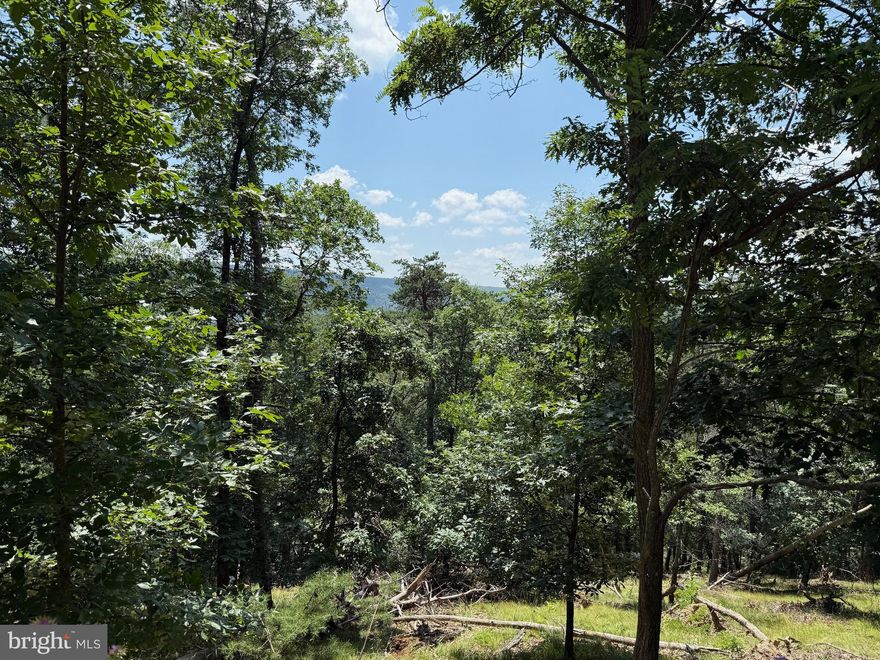 27+ WOODED ACRES WITH GREAT VIEWS, GREAT HUNTING AND GREAT MEMORIES TO BE MADE.  BUILD/CAMP SITE JUST INSIDE THE PROPERTY BOUNDARY, SAVING YOU MONEY ON INFRASTRUCTURE COSTS.  PRIVATE COMMUNITY COMMON AREA ON THE SOUTH BRANCH OF THE POTOMAC RIVER MEANS TUBING, FISHING, KAYAKING AND CANOEING IN THE SUMMER, AND PLENTY OF BIG AND SMALL GAME (WHITETAIL, BEAR, TURKEY, ETC) HUNTING, HIKING, AND EXPLORING ON YOUR PROPERTY THE REMAINDER OF THE YEAR.  BUILD YOUR HOME OR HOME AWAY FROM HOME!