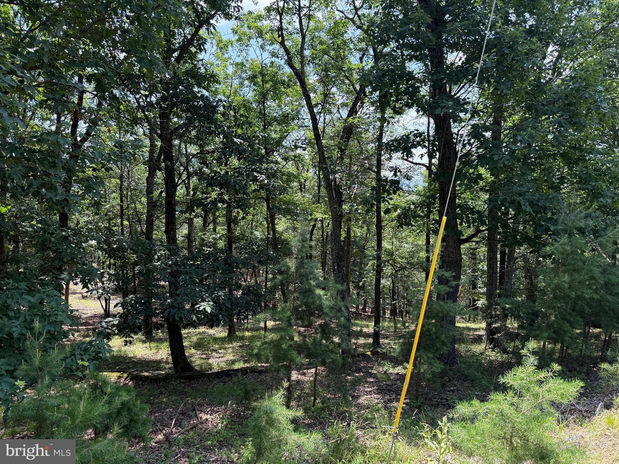 BLUFFS ON THE POTOMAC - Land