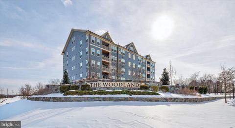 3315 FIREFLY LANE 304 FREDERICK MD 21704