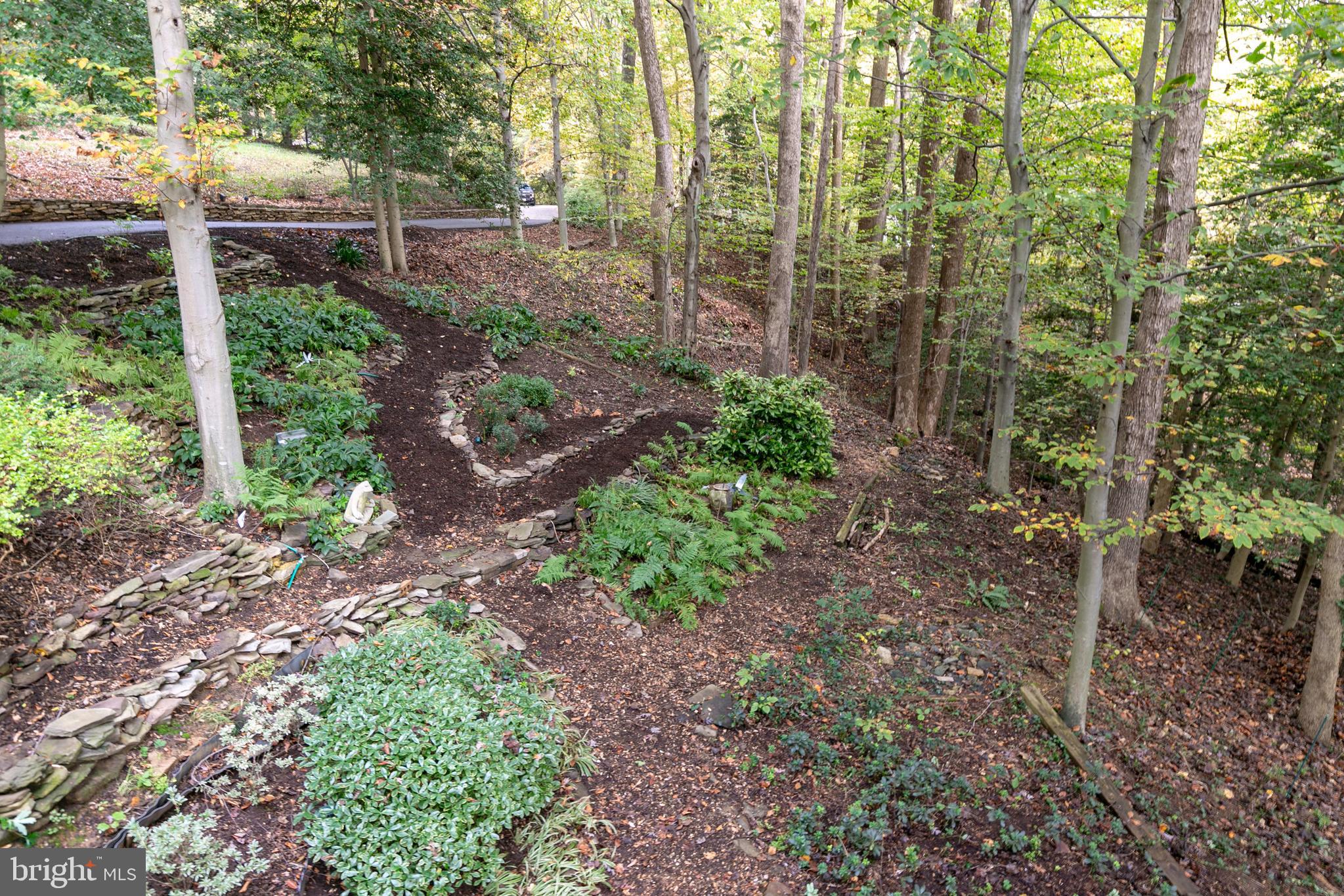 SAEFERN - Residential