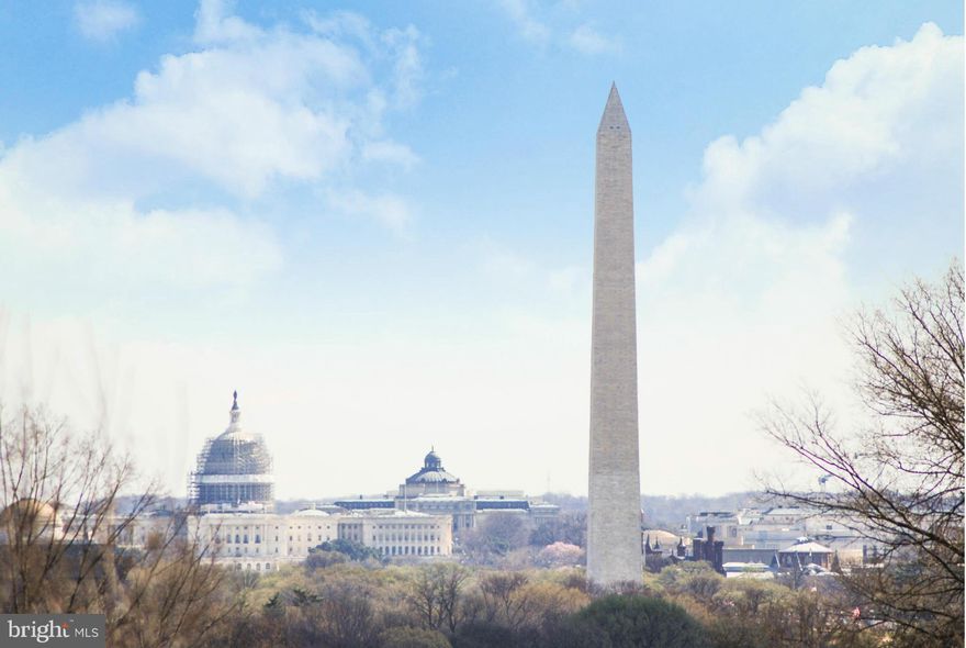 OPEN SAT-SUN 1-4PM. BEST VIEW EVER! Enjoy your morning coffee w/ stunning view of Washington Monument & US Capitol out your over sized living rm picture window! Renovated 1br, 1ba condo w/ granite counters, S/S Appl & HWF. Tons of light from windows 2 sides. Unbeatable location Rosslyn Metro, Georgetown, DC, Pentagon, & Rt-50. 2 Prkg Spaces! Storage. Condo Fee Incl Gas, Electric & Water Utilities