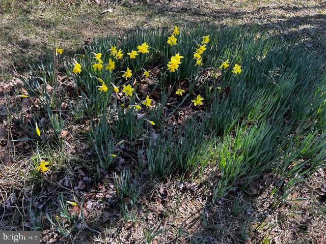 CALMES NECK ESTATES - Residential